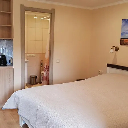 Lara Guest house Solochin